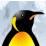 Super Penguin Dash