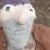 Jed the Hobo