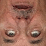 Bill Murray New Moon