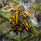Kingdoms: Nobility