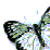 The Sonicfly Effect