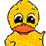 this is a duck