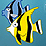 Escape the reef