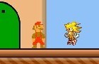 Mario Sonic S. C. Tester