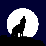 Gray Wolf (Canis Lupus)