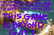 Gayest Video Game