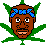 New Tupac