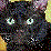 Cat Race 2000