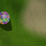 The Rolly Ball Game