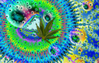4-20 Tribute