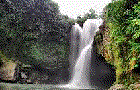 Beautiful Waterfall
