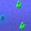 Omnibug