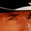 +Chuck Norris Facts+