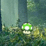 Mushroom Collector 4