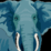 The Elephant Puzzle