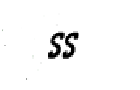 SecondaryStyle SS