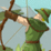 Age of Defense