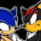 Sonic Shadow Duel