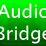 NG Audio Bridge