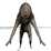 PN Interactive 3D Model