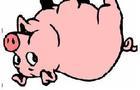 Clean Porkspin