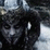 Disco Borgir.
