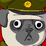 The Revenge of Pug