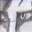 gay movi me gay im gay