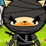 Ninja Dog
