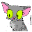 No-Play Kitty