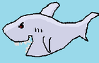 Donating a Shark