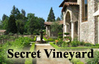 Secret Vineyard