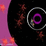 Orbital Disruption