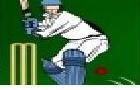 IPL Cricket 2012