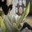 :Exile Vilify (Portal 2):