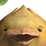 Ducky the Duck the Game