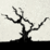 The Old Ash Tree