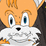 Sonic X-pals
