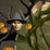 Jack O'Lantern collect