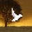 DepresSEED Bird