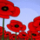 Remembrance Day Sale!