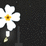 Myosotis Chapter 1