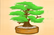 Puzzle Bonsai: Numbers