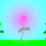 -=growth=-