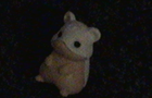 Hamsters: jump
