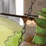 Age of Defense 5