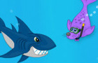 Seals Vs Sharks