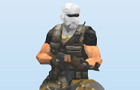 Terrorist Assault