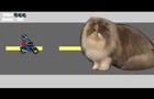 Videos juegos by mileyniko