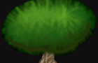 forbidden tree